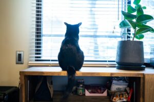 ANTIQUE HOUSE アイディーエル I.D.L COMPANY 愛知県江南市の建設会社・リノベーション