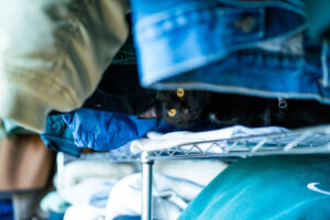 アイディーエル I.D.L COMPANY 愛知県江南市の建設会社・リノベーション